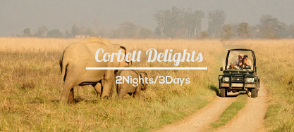 Corbett Holiday Packages