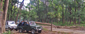 jeep safari in india